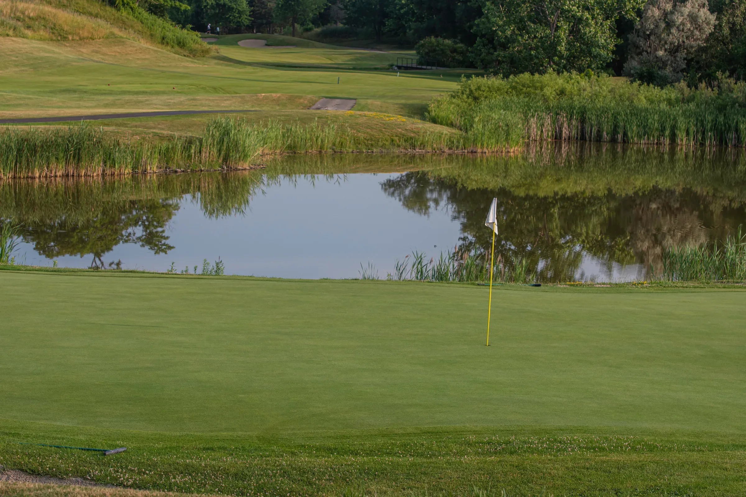 GAZONS NATURELS SPORTIFS ET D'AGRÉMENT