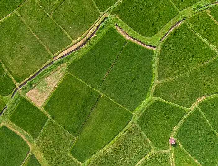 Photo aerienne terre agricole