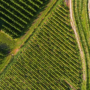 agricultural land