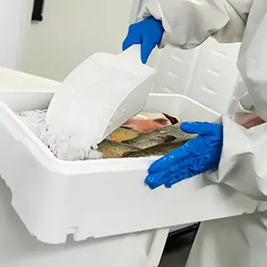 iage-france-aquaculture-logistique-poisson