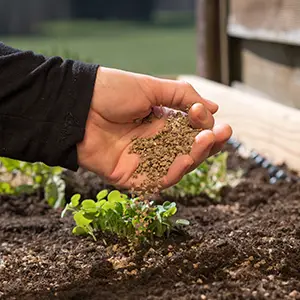 iage-france-sante-des-sols-biofertilisants