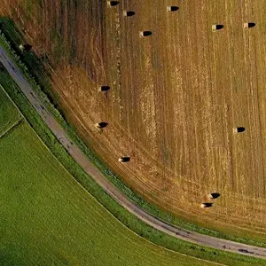 Agri-food field